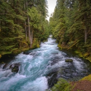 mckenzie-river-g62a64d52e_1280-624x416-1.jpg